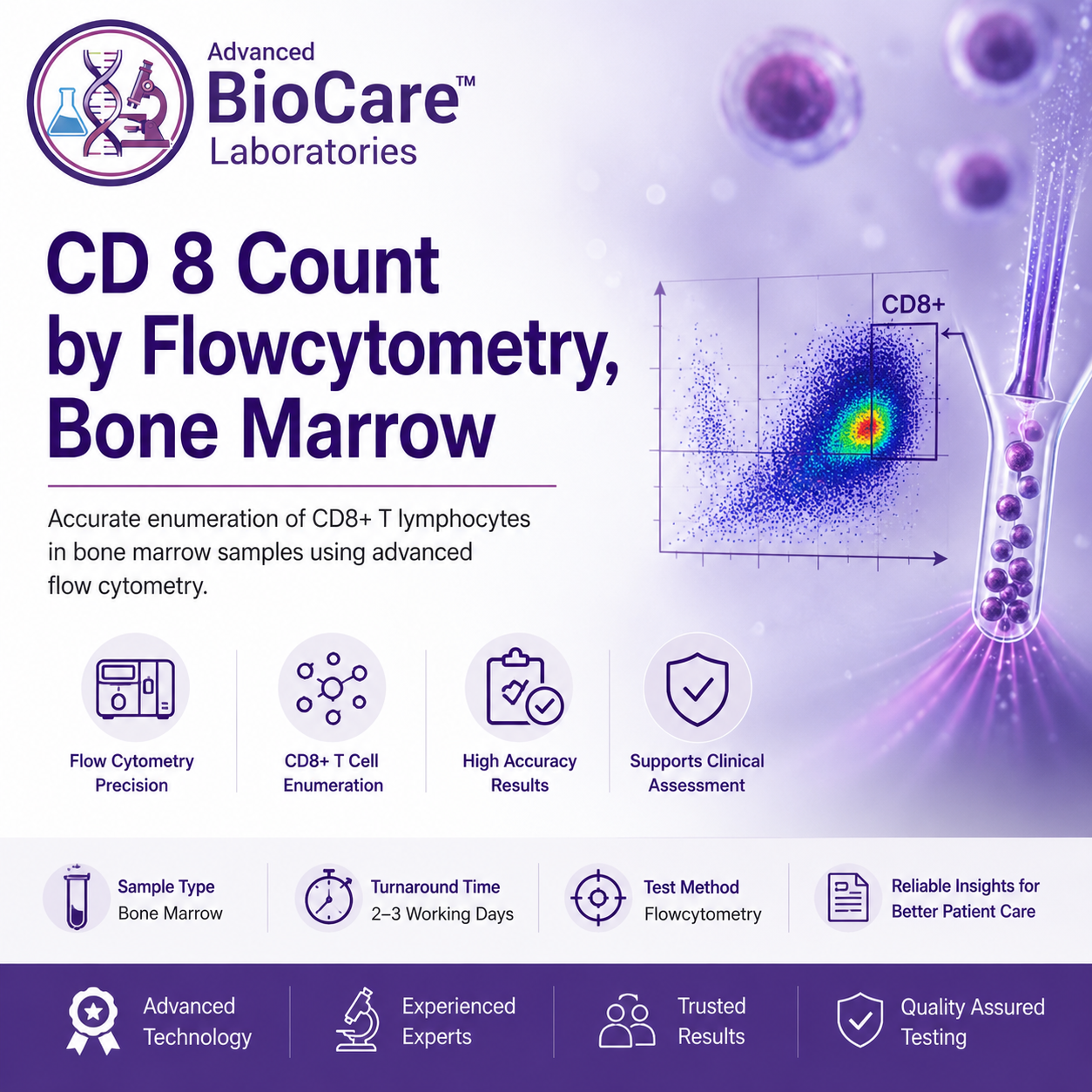 CD 8 Count by Flowcytometry, Bone Marrow