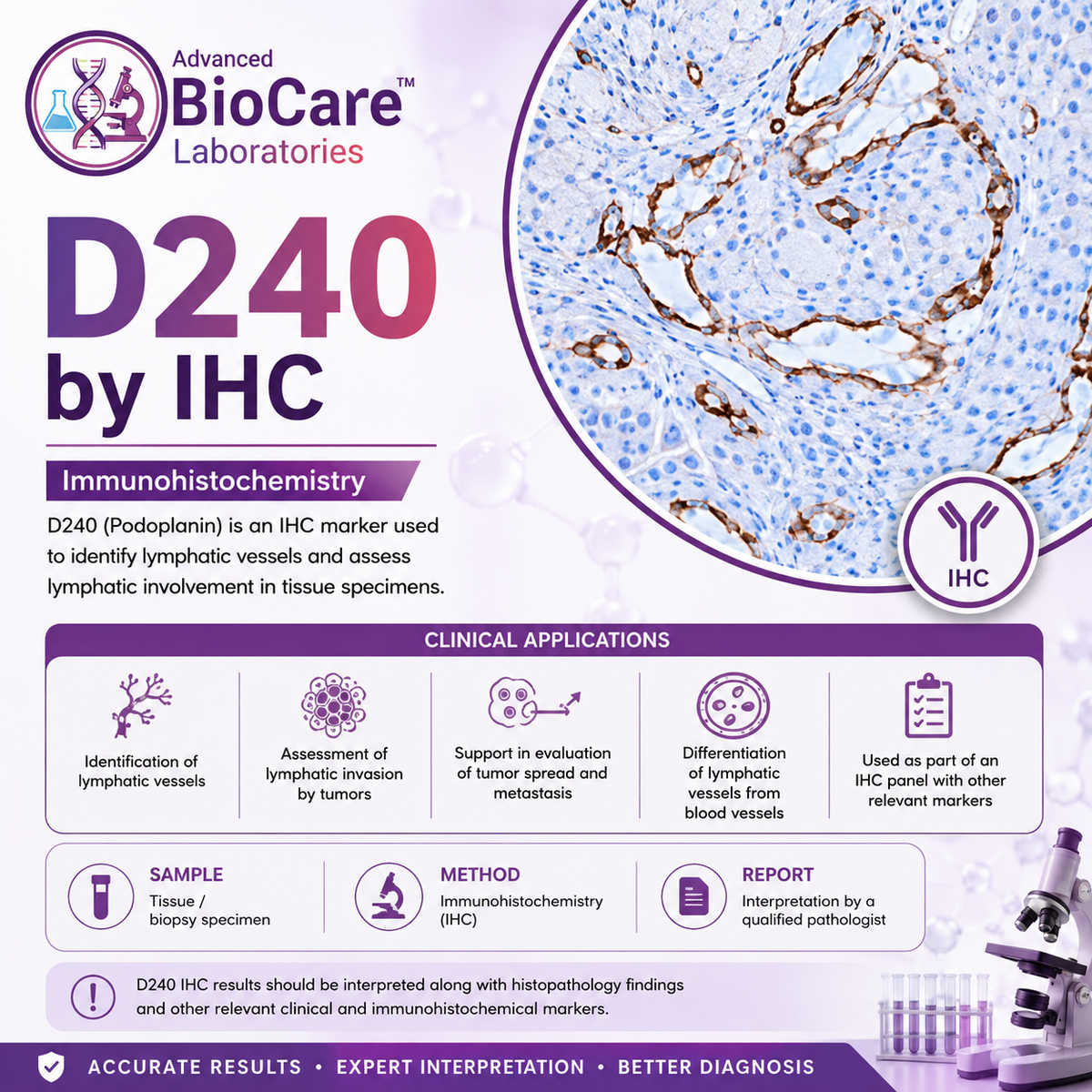 D240 by IHC