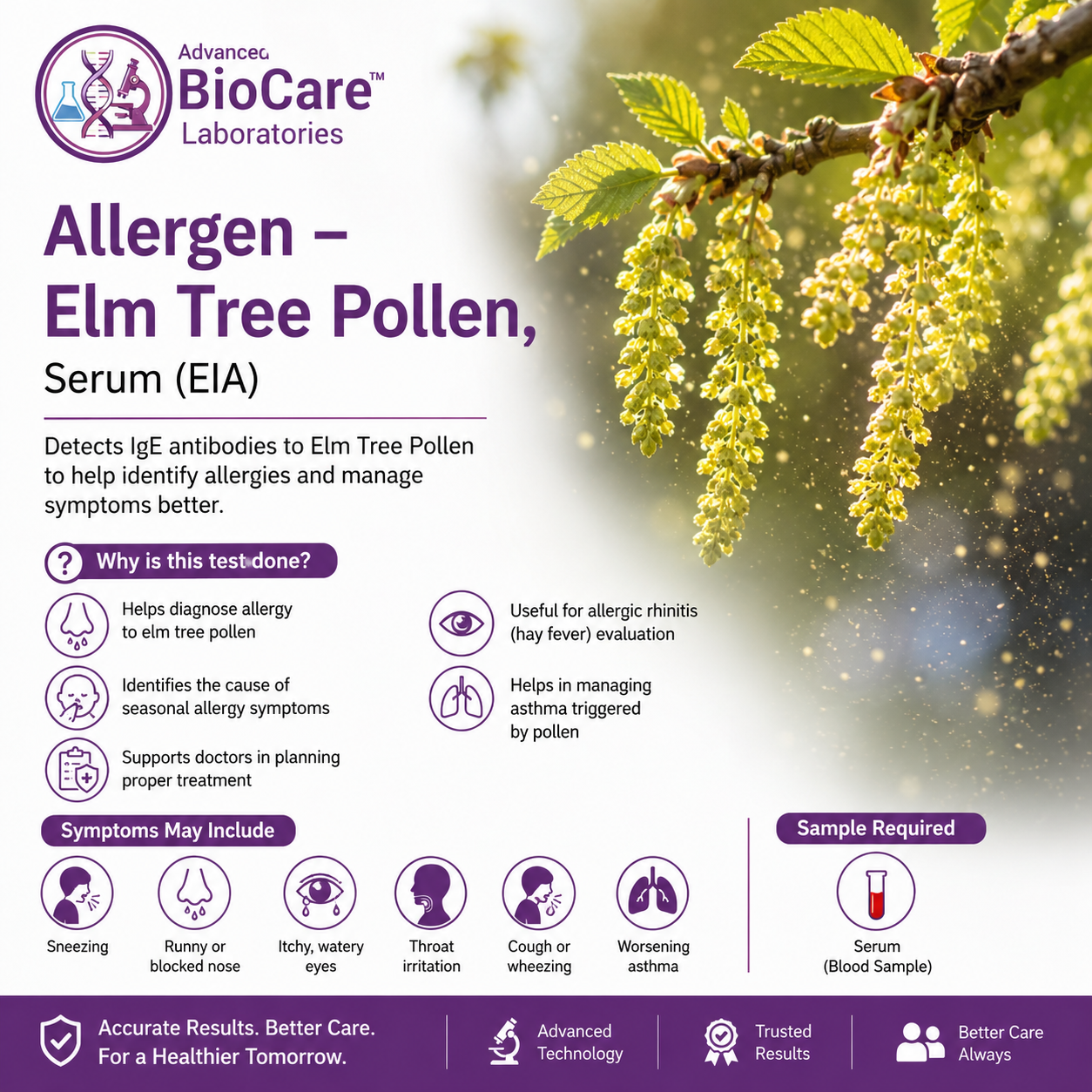 Allergen - Elm Tree Pollen, Serum