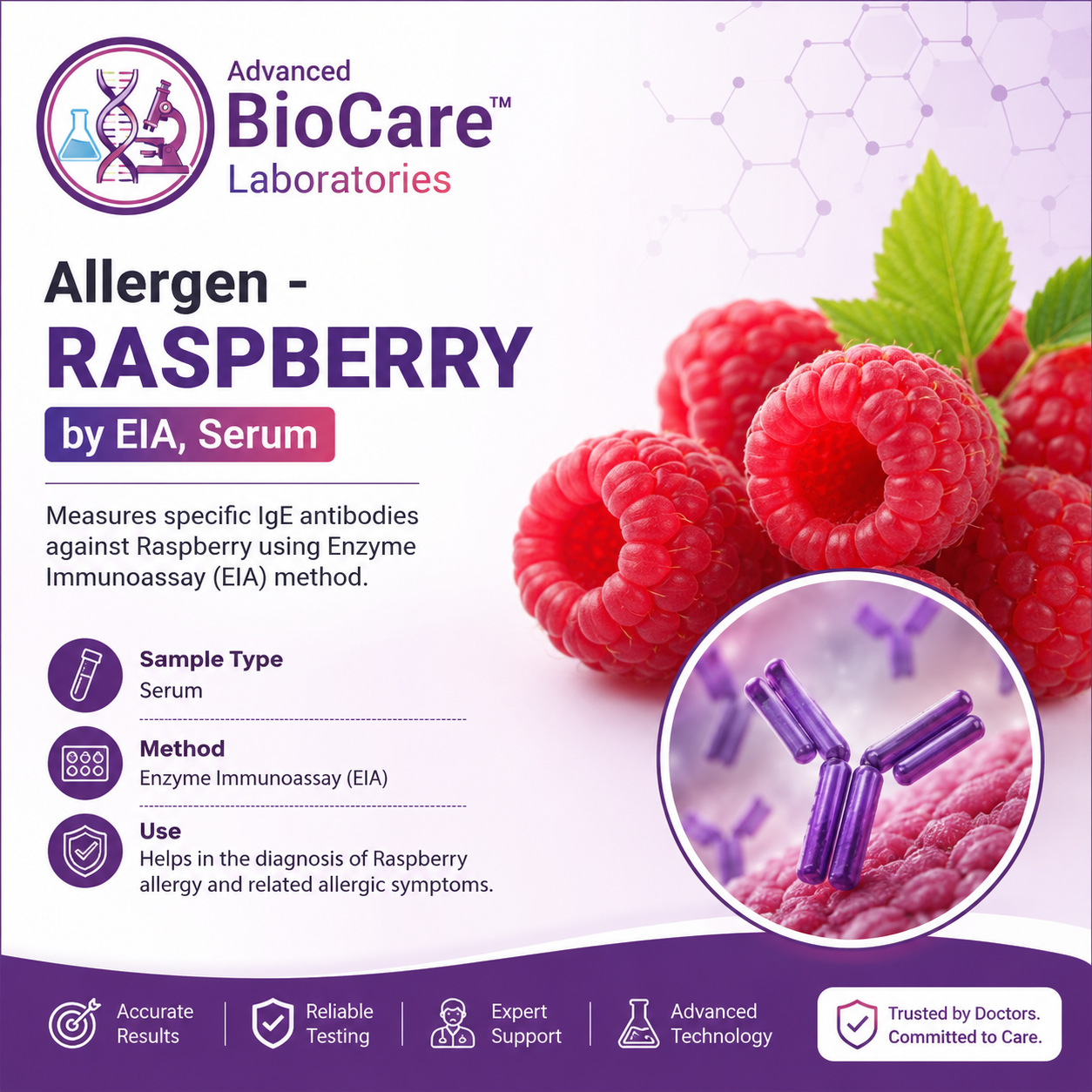 Allergen - RASPBERRY by EIA, Serum