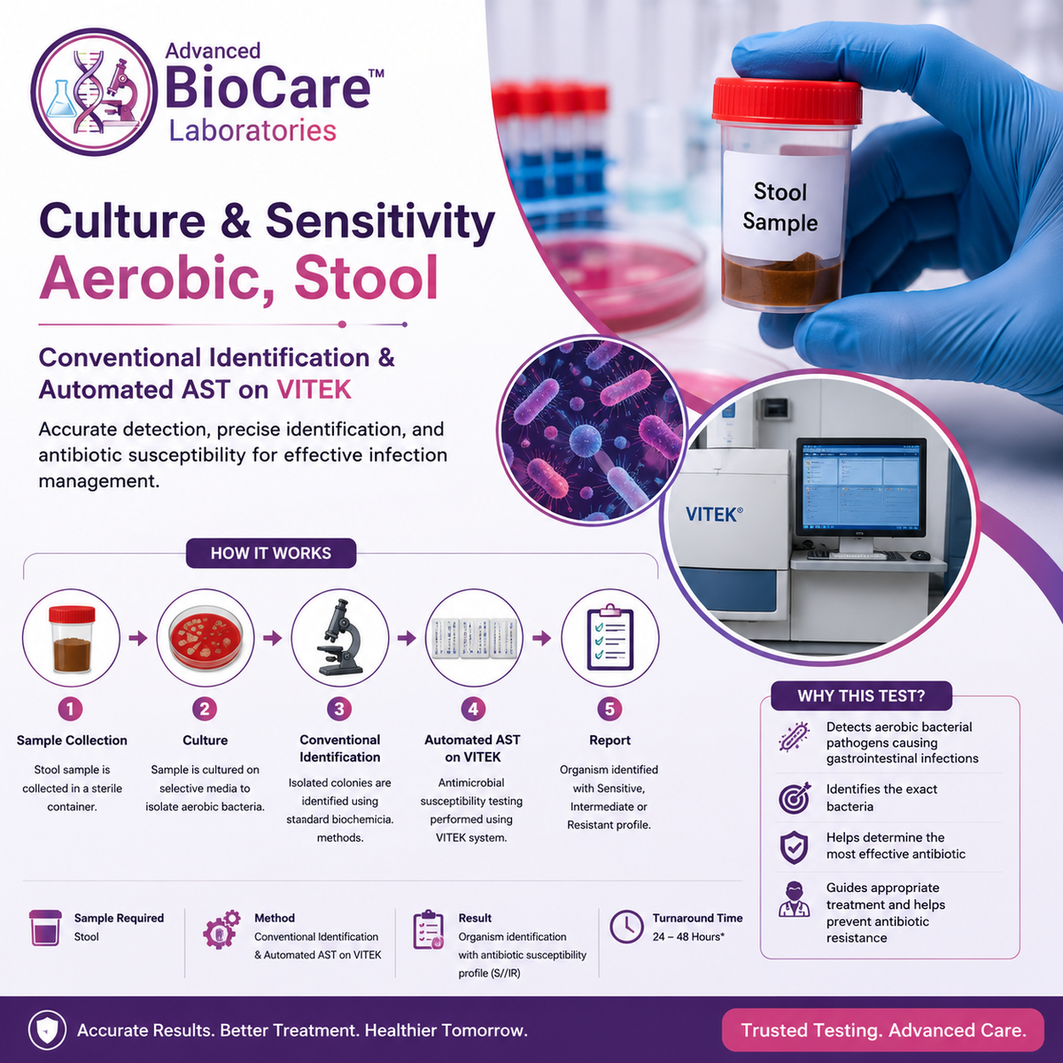 Culture & Sensitivity, Aerobic, Stool- Conventional Identification & Automated AST on Vitek