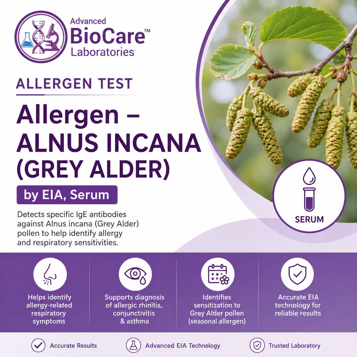Allergen - ALNUS INCANA (GREY ALDER) by EIA, Serum