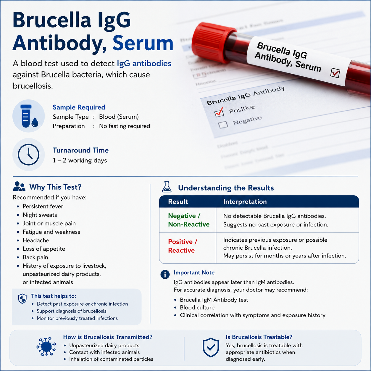 Brucella IgG Antibody, Serum