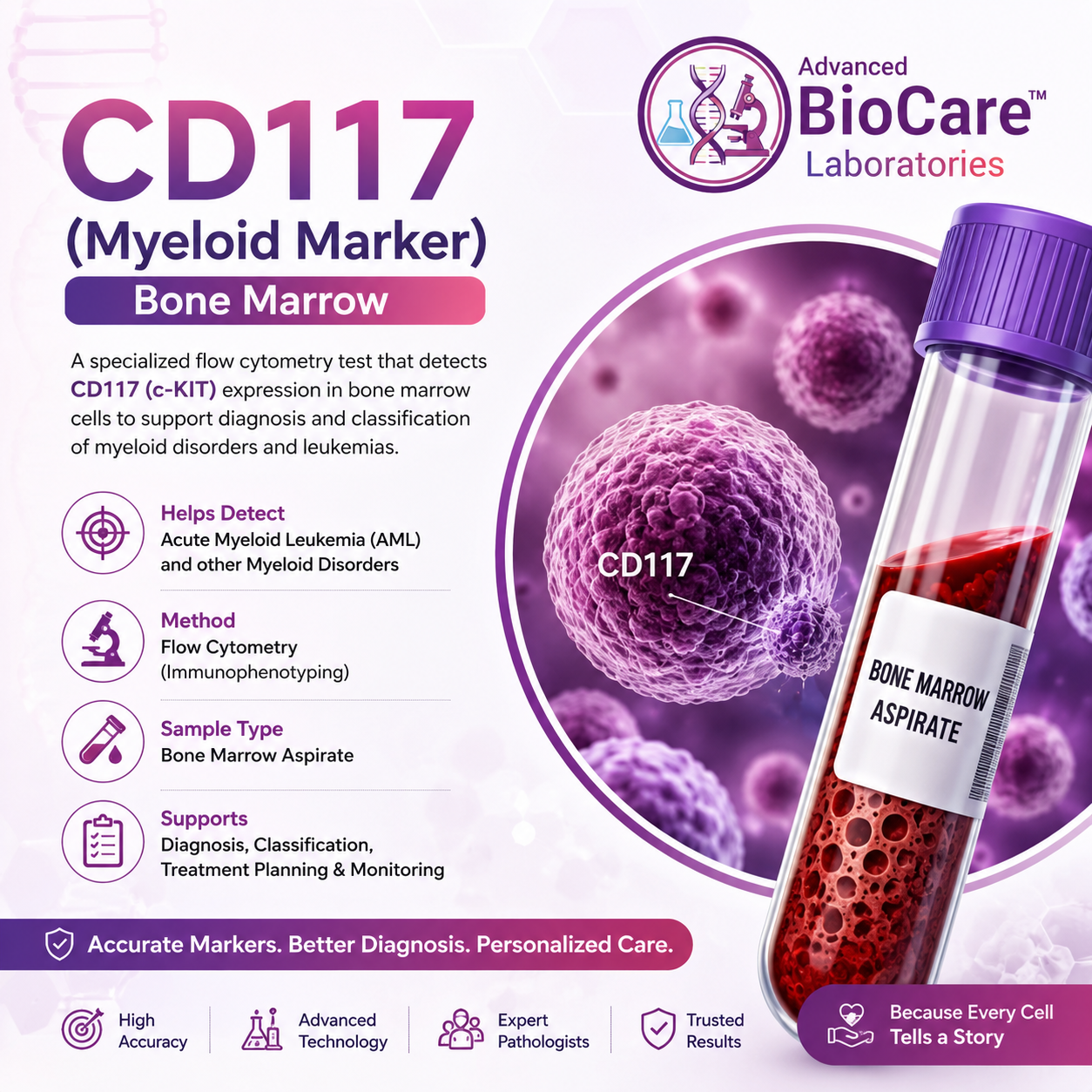 CD117 (Myeloid Marker), Bone Marrow