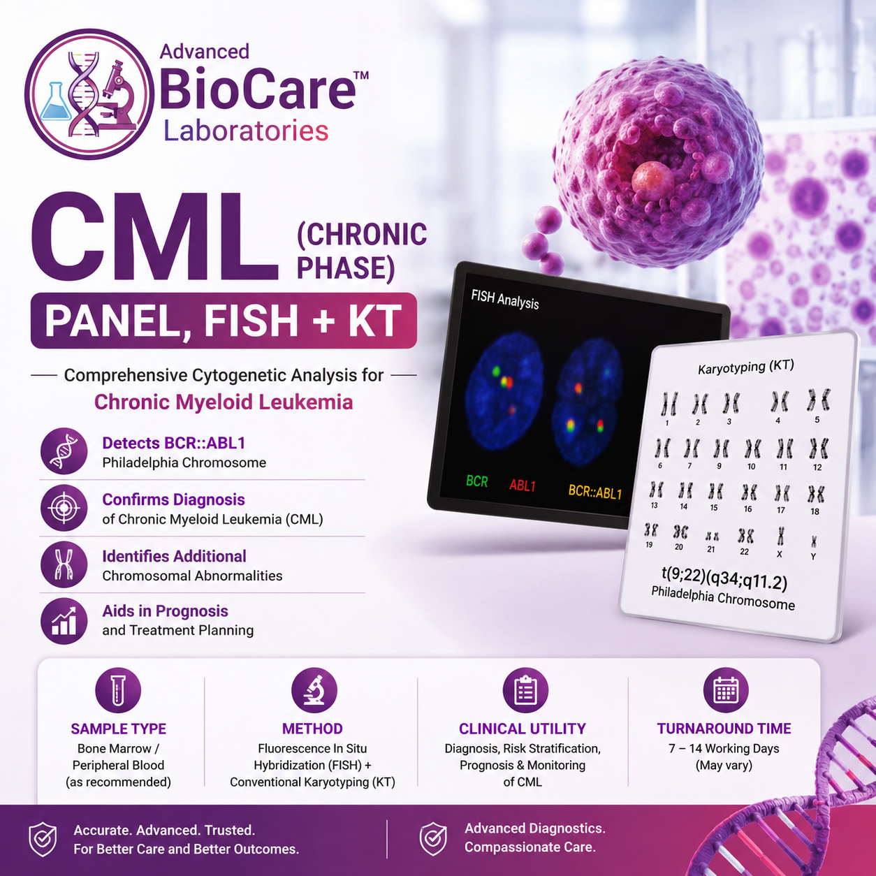 CML (Chronic Phase) Panel, FISH+KT