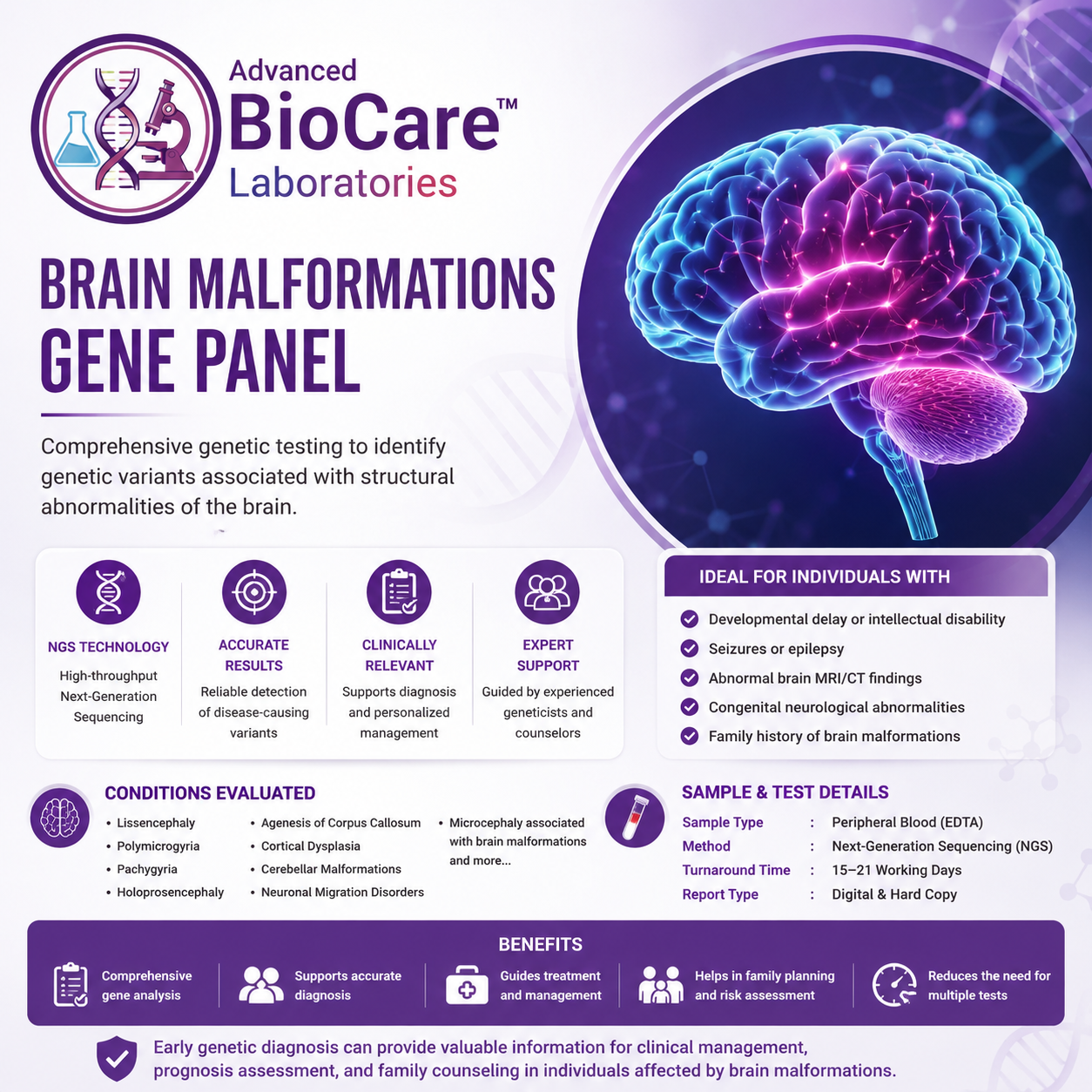 Brain malformations gene panel