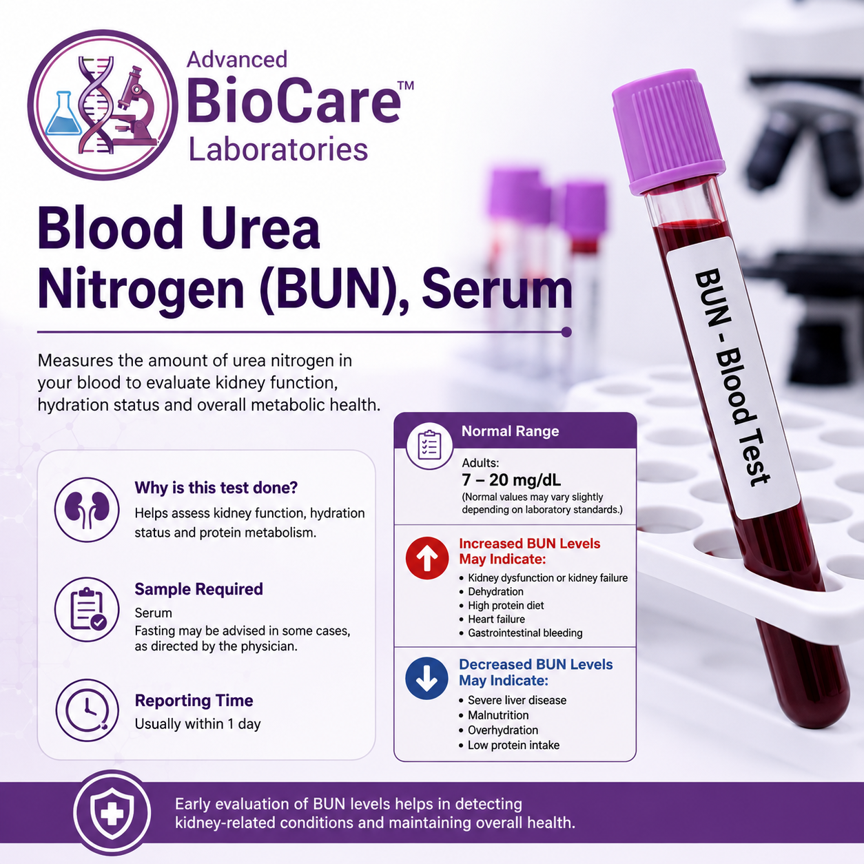 Blood Urea Nitrogen (BUN), Serum