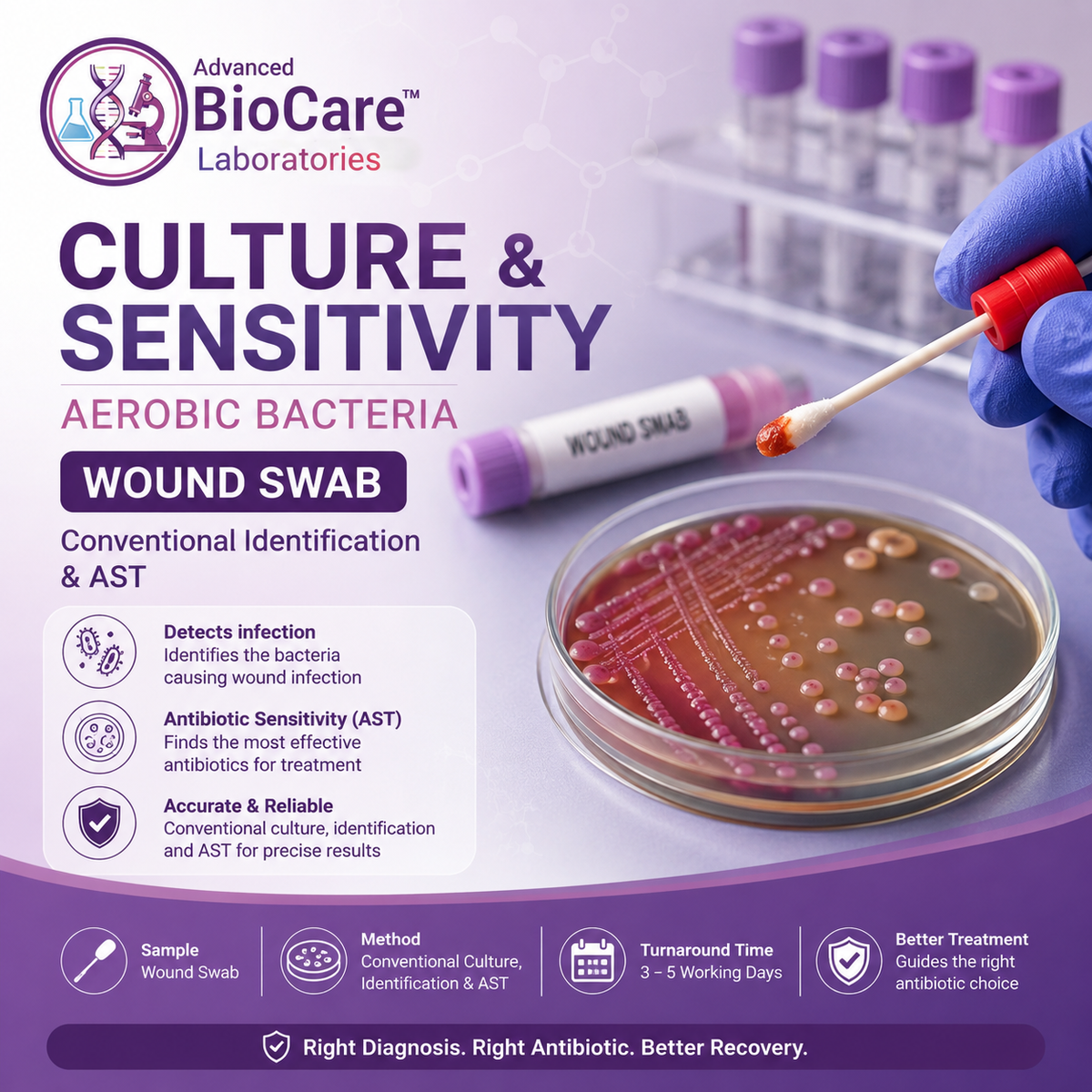Culture & Sensitivity, Aerobic bacteria, Wound Swab, Conventional Identification & AST