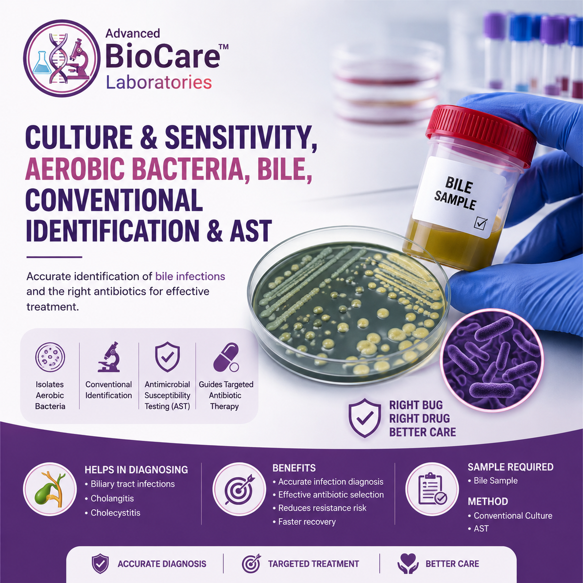 Culture & Sensitivity, Aerobic bacteria, Bile, Conventional Identification & AST