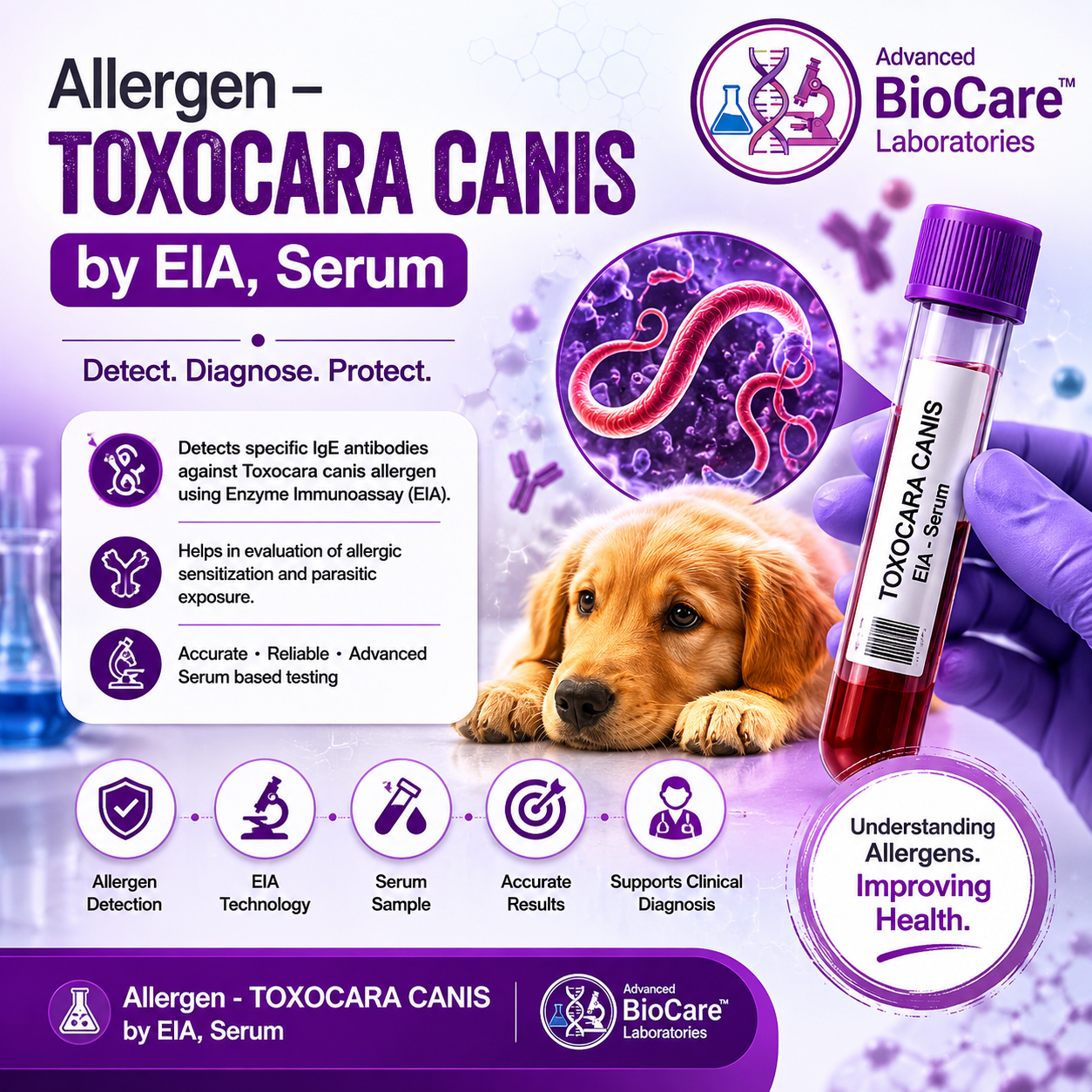 Allergen - TOXOCARA CANIS by EIA, Serum