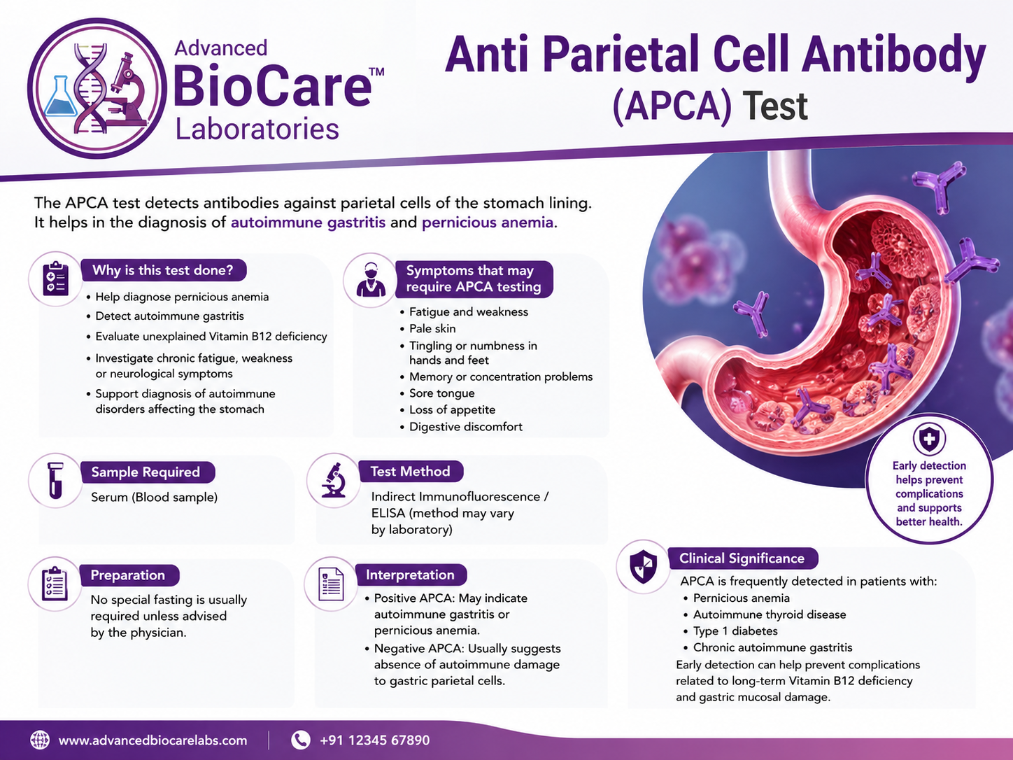 Anti Parietal Cell Antibody (APCA)