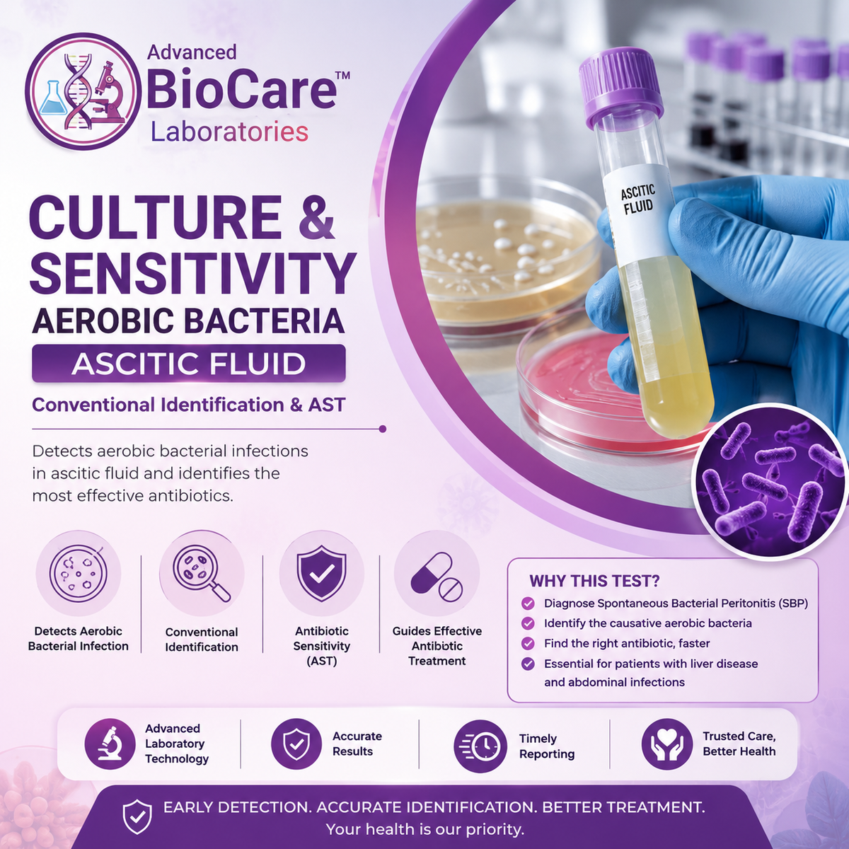 Culture & Sensitivity, Aerobic bacteria, Ascitic Fluid, Conventional Identification & AST