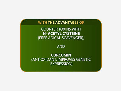 HAIR FACT MAINTENANCE NW-DETOX