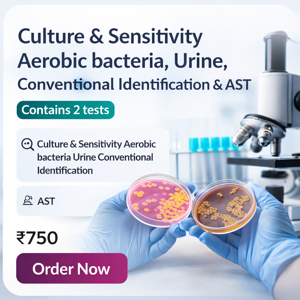 Culture & Sensitivity – Aerobic Bacteria (Urine)